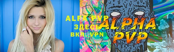 apvp Тавда