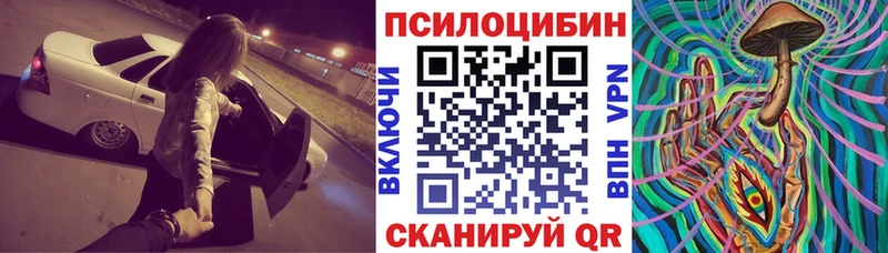 Псилоцибиновые грибы Psilocybe  Губкинский 